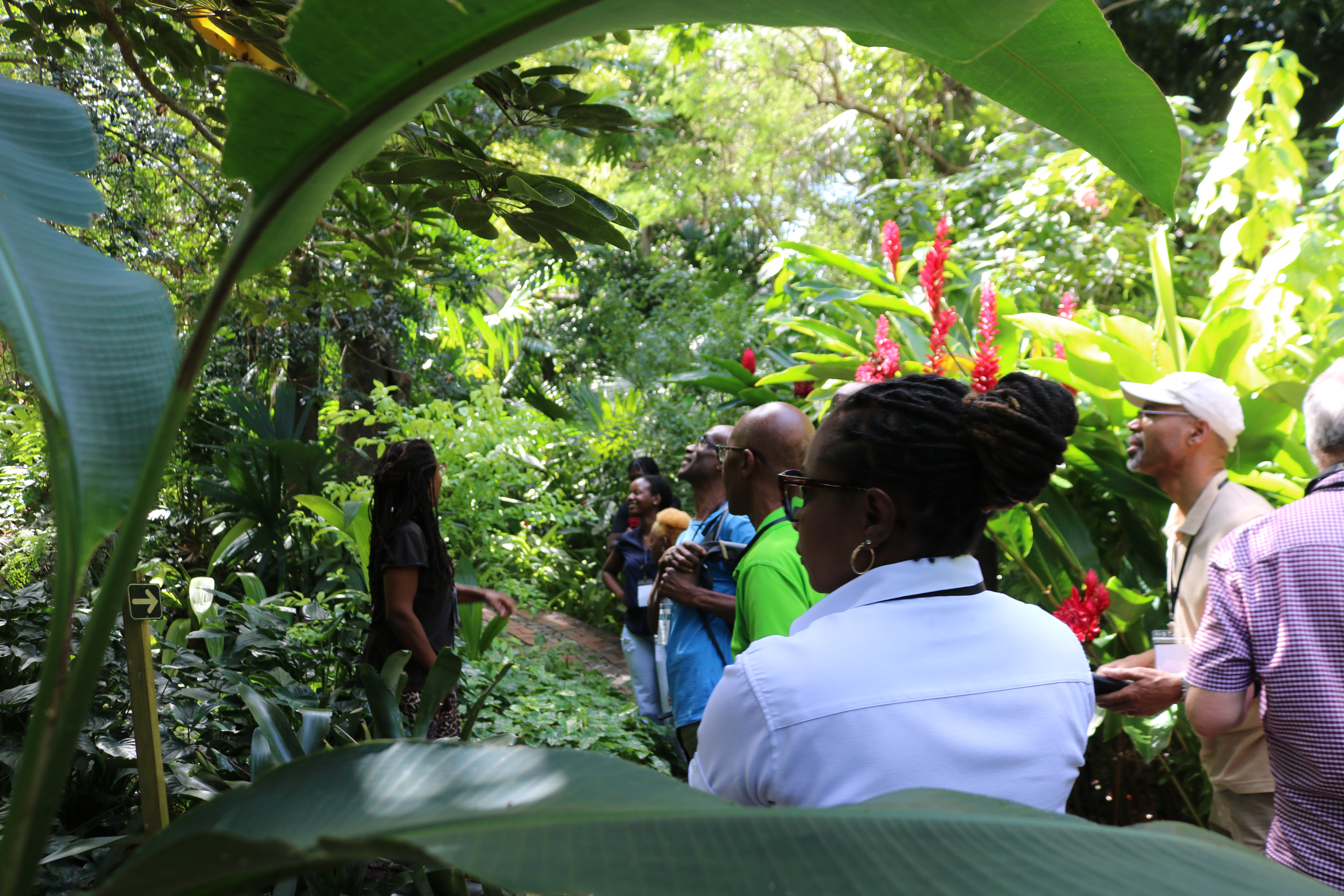 Strengthening Conservation Through Collaboration: Plant Health and Biosecurity Workshop